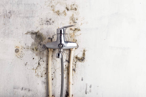 Best Mold Testing  in Cambridge, WI